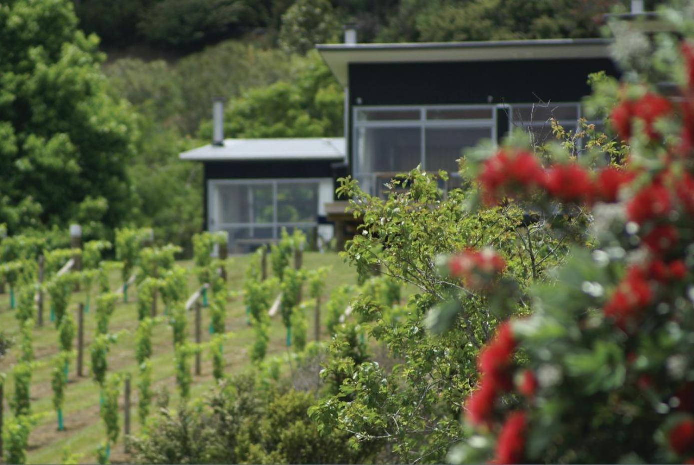 Riverside Matakana Exterior photo